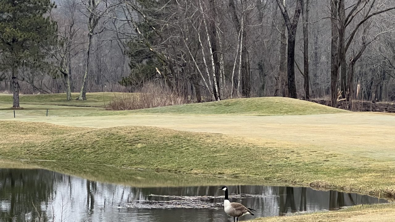 Almost Ready to Open