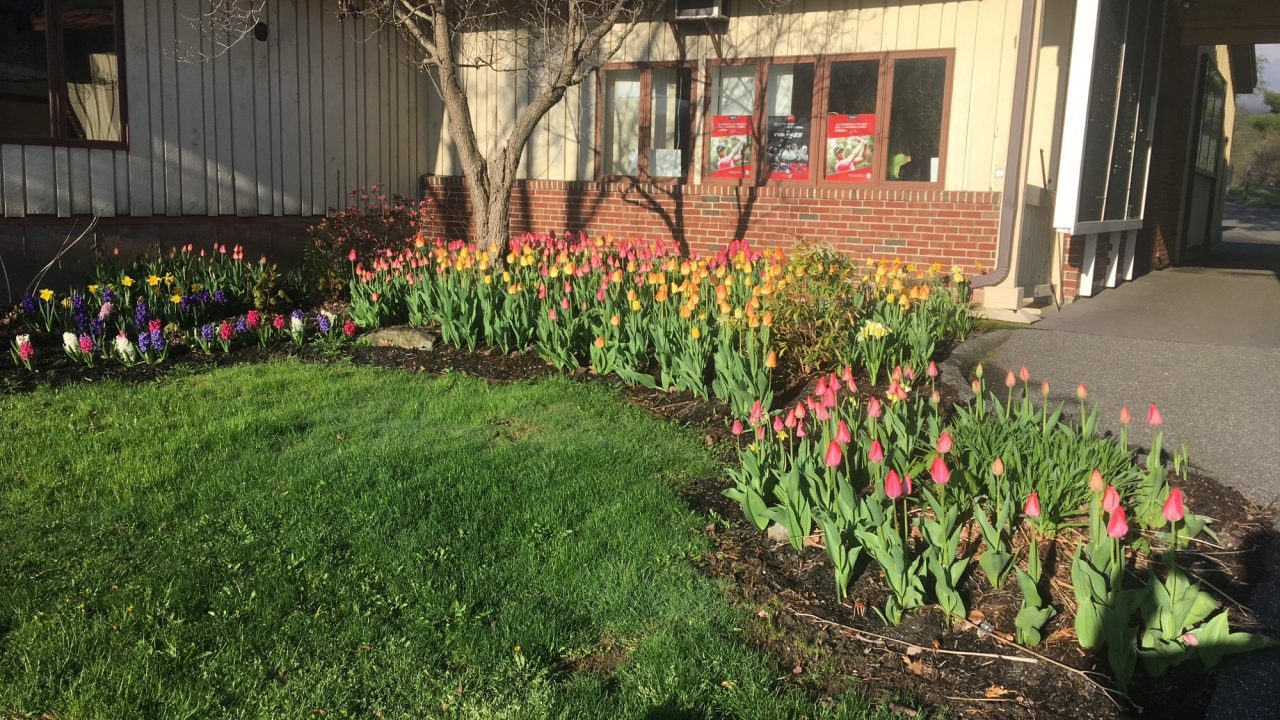 Tuesday April 23, 2024   FROST DELAY this MORNING!!