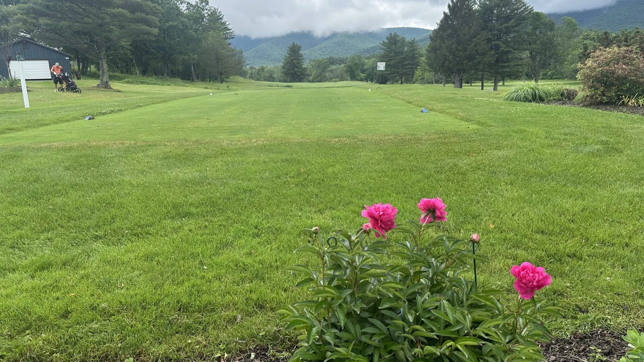 Course open – cart path only