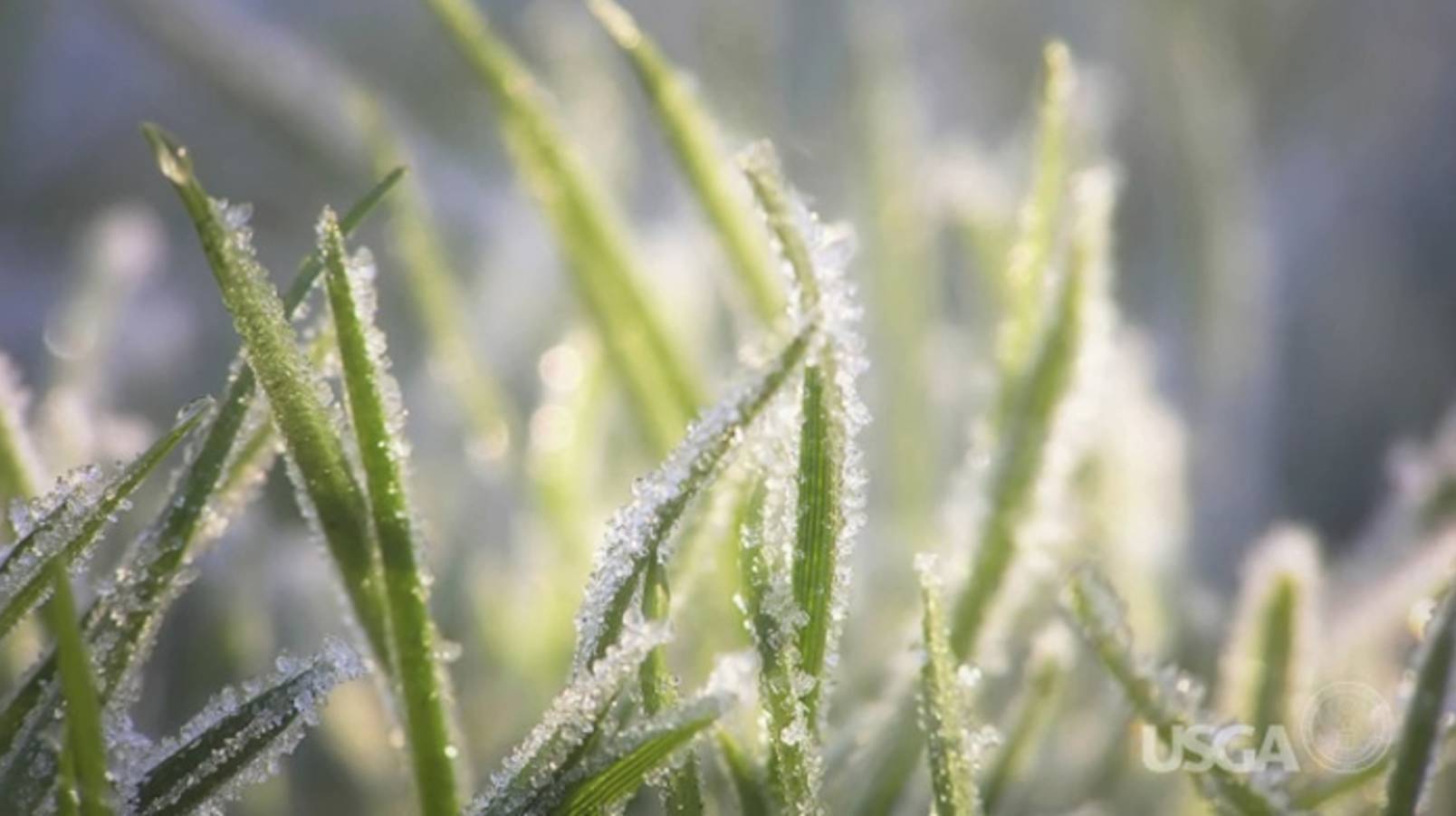 There will be a frost delay today