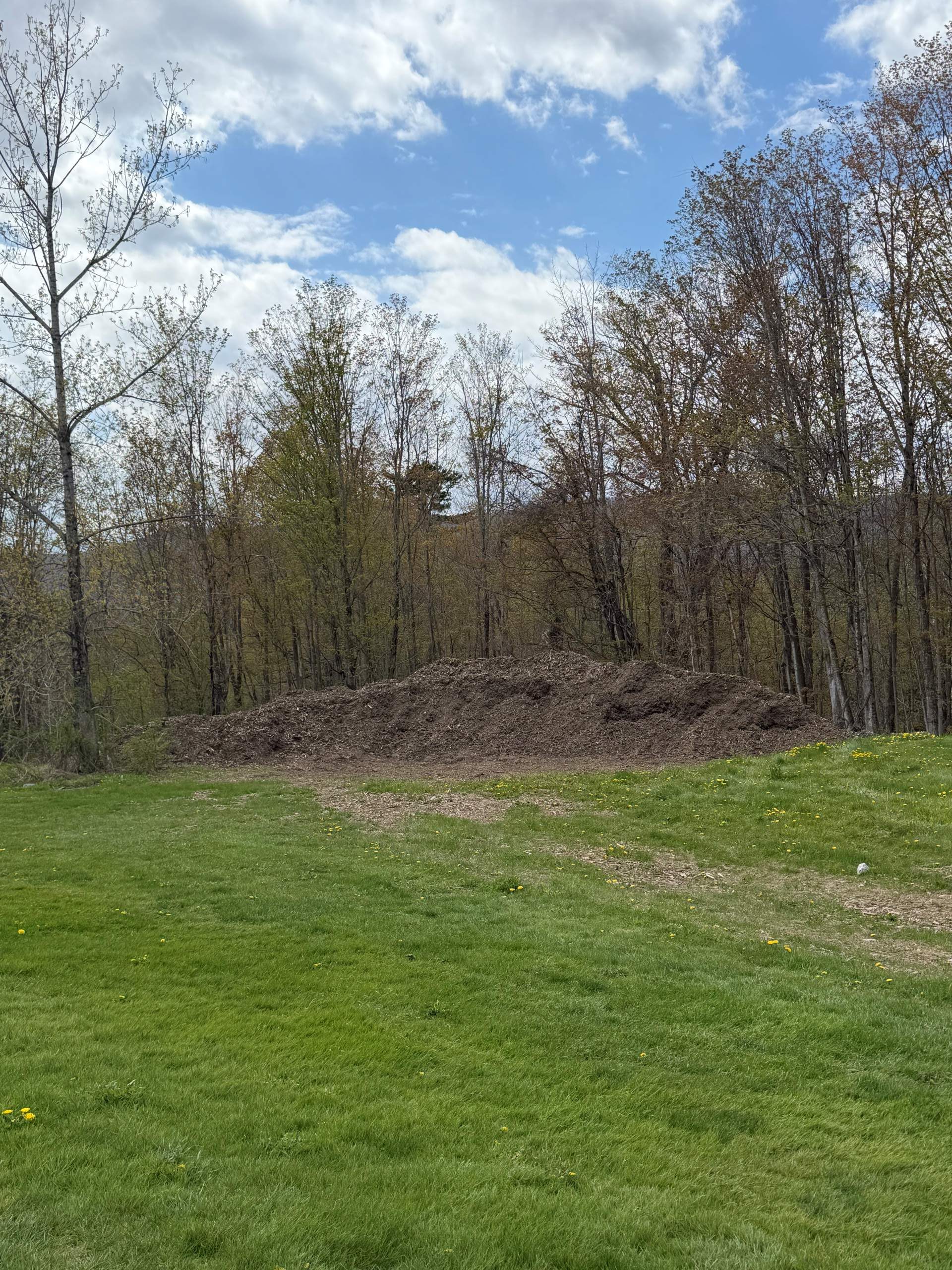 Woodchips behind 15 tee will be moved and spread in areas such as 12/13 Pine trees